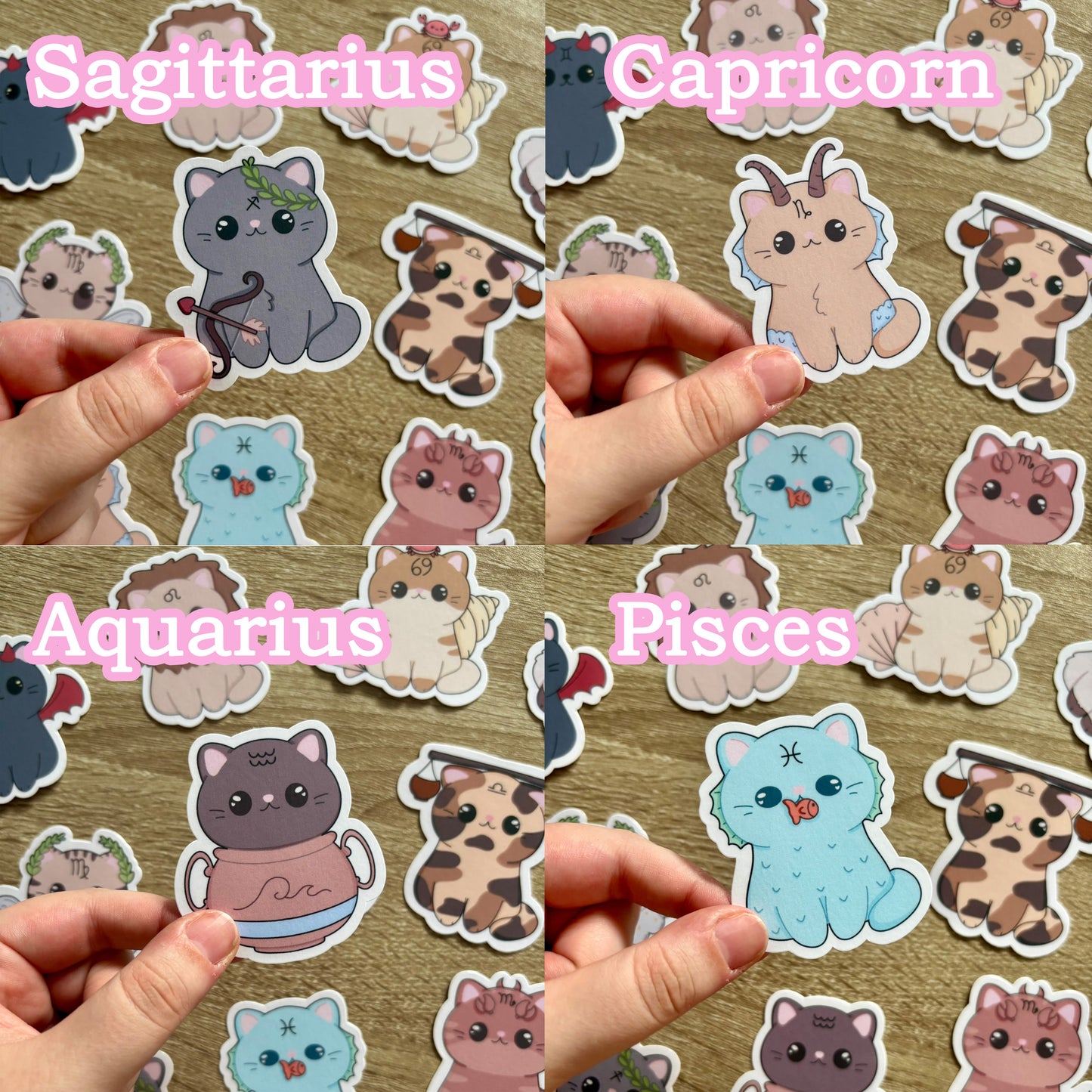 Star sign cats